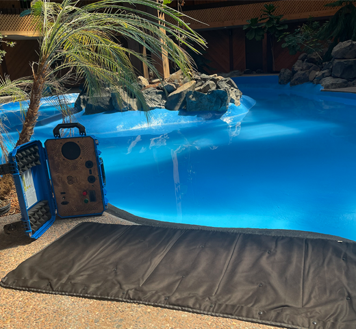 PEMF Mat and 2500W Generator Machine